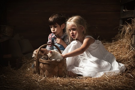 Young children are thrown in the basket of kittens in the barnの写真素材