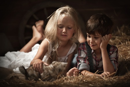 Little children playing with a kitten in a stable, lying in the mangerの写真素材