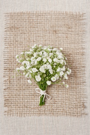 Wedding decor of natural environmental materialsの写真素材