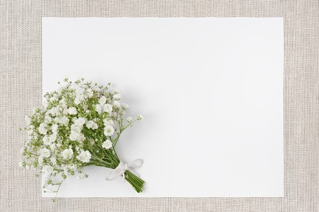 Wedding decor of natural environmental materialsの写真素材