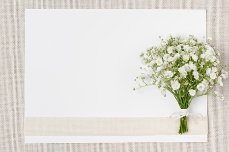 Wedding decor of natural environmental materialsの写真素材