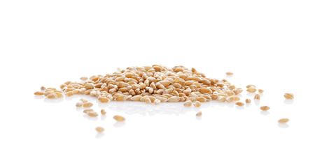 Grain of the wheat on a white backgroundの写真素材