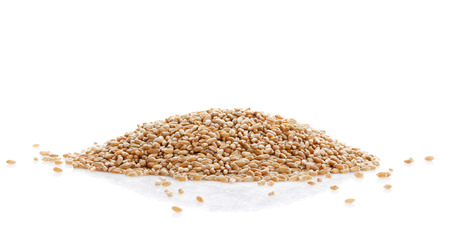 Grain of the wheat on a white backgroundの写真素材