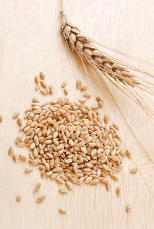 Ear and a grain of the wheat on a wooden surfaceの写真素材