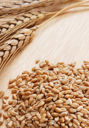 Ear and a grain of the wheat on a wooden surfaceの写真素材