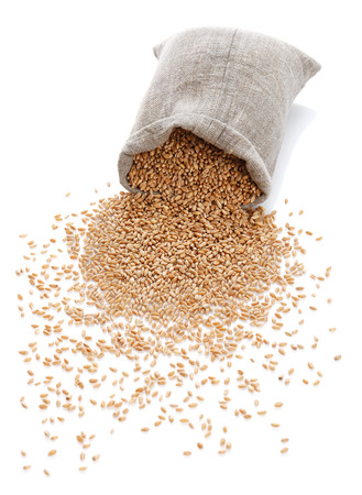 The scattered bag with wheat on a white backgroundの写真素材