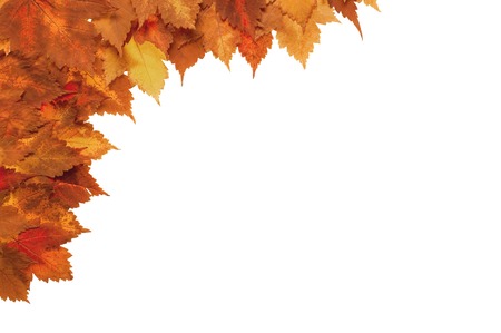 Framework from autumn yellow leaves on a white backgroundの写真素材