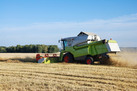 The combine mows wheat in a fieldの写真素材