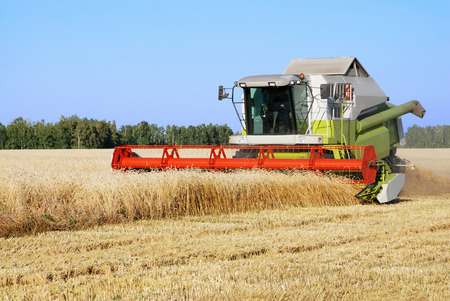 The combine mows wheat in a fieldの写真素材
