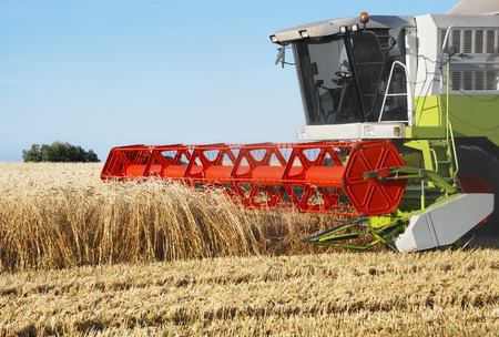 The combine mows wheat in a fieldの写真素材