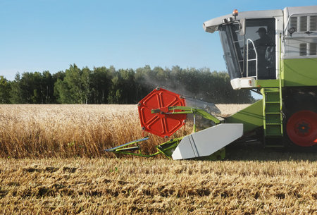 The combine mows wheat in a field