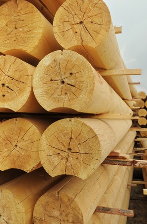 Heap of cylindrical logsの写真素材