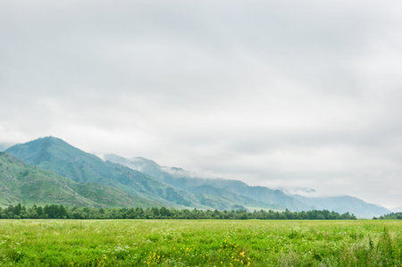 Green meadows in foothills in cloudy weatherの写真素材