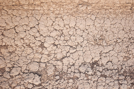 Dried up cracked ground