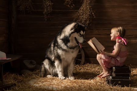 Little girl reading a book to his dog in the barnの写真素材
