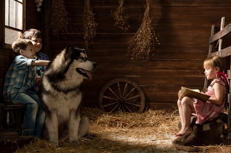 Girl reads the book to his brothers and a dog in a stableの写真素材