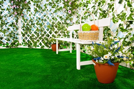 Bench with an arbor in the garden in summer sunny dayの写真素材