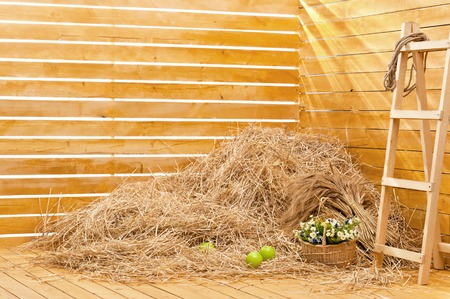 Heap of straw in an interior of a photographic studioの写真素材