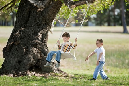 Little boys shake on a swing, adhered to the big tree, in a summer sunny dayの写真素材