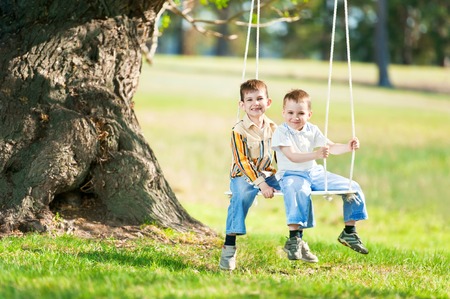 Little boys shake on a swing, adhered to the big tree, in a summer sunny dayの写真素材