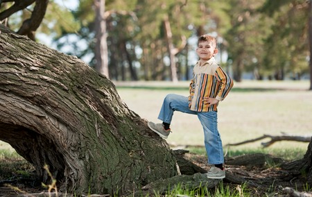 Little boy climbs up trees in a sunny summer dayの写真素材