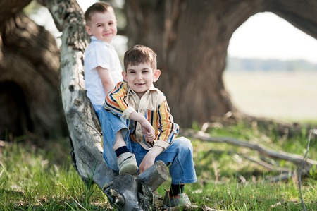 Two boys sitting on a tree branch in a sunny summer dayの写真素材