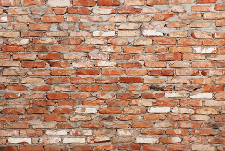 Background from a brick wallの写真素材