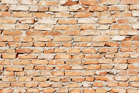 Background from a brick wallの写真素材