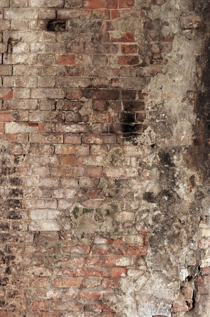 Background from a brick wallの写真素材