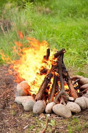 The inflamed fire in a woodの写真素材