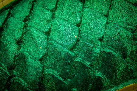 Green pattern of big dragonの写真素材