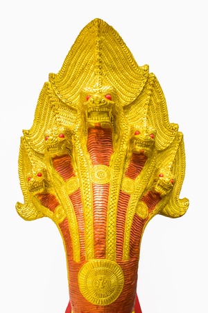five head of big snakeの写真素材