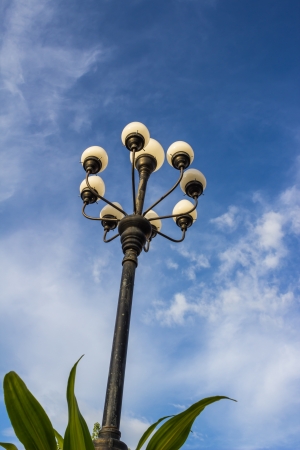 power of lamp in natureの写真素材