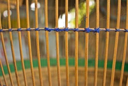 the bamboo cage for birdの写真素材