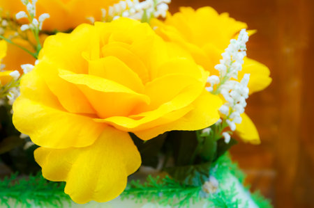 yellow beautiful flower decorate the roomの写真素材