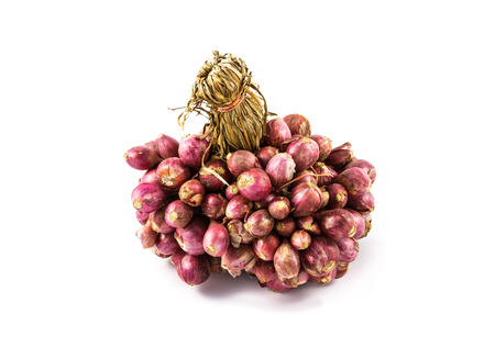 red onions on white backgroundの写真素材