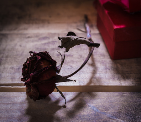 dry rose on old woodの写真素材