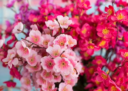 pink sakura flower for decorationの写真素材