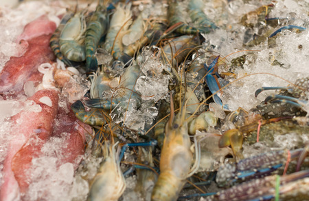 fresh seafood in iceの写真素材