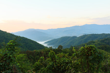 fresh natural mountain in morning