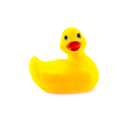 yellow squeak rubber duck on isolated backgroundの写真素材