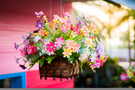 closeup beautiful flower decoration in gardenの写真素材