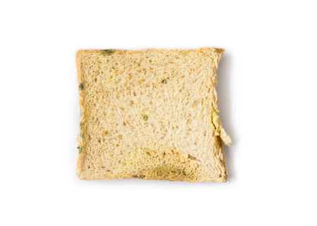 mold bread that expired isolated on white backgroundの写真素材