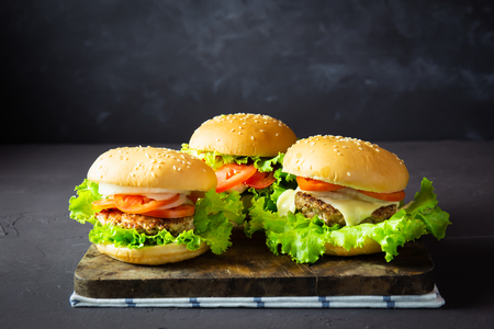 homemade hamburger with pork, onion, tomato, lettuce and cheese on rustic dark background.の写真素材