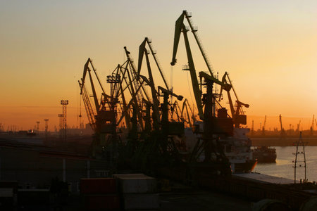 Cranes against the sky