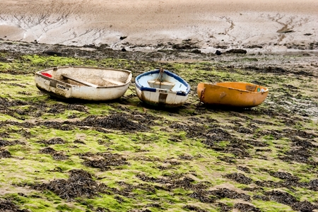 Boats in the seaweedの写真素材