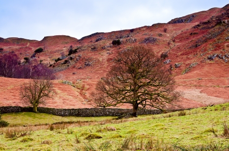 Loughrigg Fellの写真素材