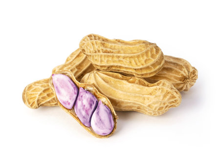Boiled peanuts isolated on white background. Pile of peanutsの写真素材