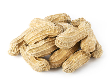Boiled peanuts isolated on white background. Pile of peanutsの写真素材