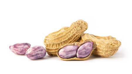 Boiled peanuts isolated on white background. Pile of peanutsの写真素材